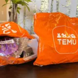 Temuのトコジラミ事情とは？やばい評判についても徹底調査！