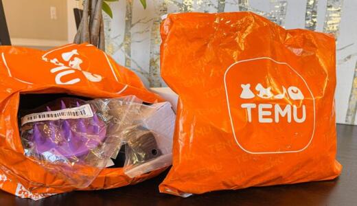 Temuのトコジラミ事情とは？やばい評判についても徹底調査！