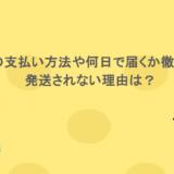 SONAの支払い方法や何日で届くか徹底解説！発送されない理由は？