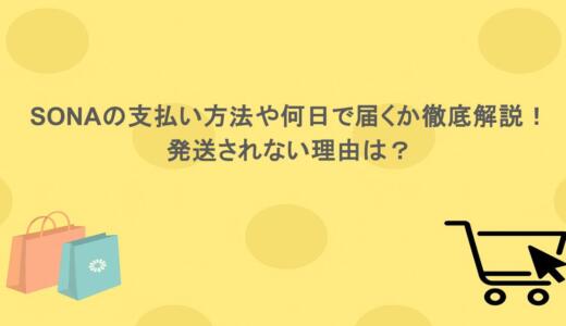 SONAの支払い方法や何日で届くか徹底解説！発送されない理由は？
